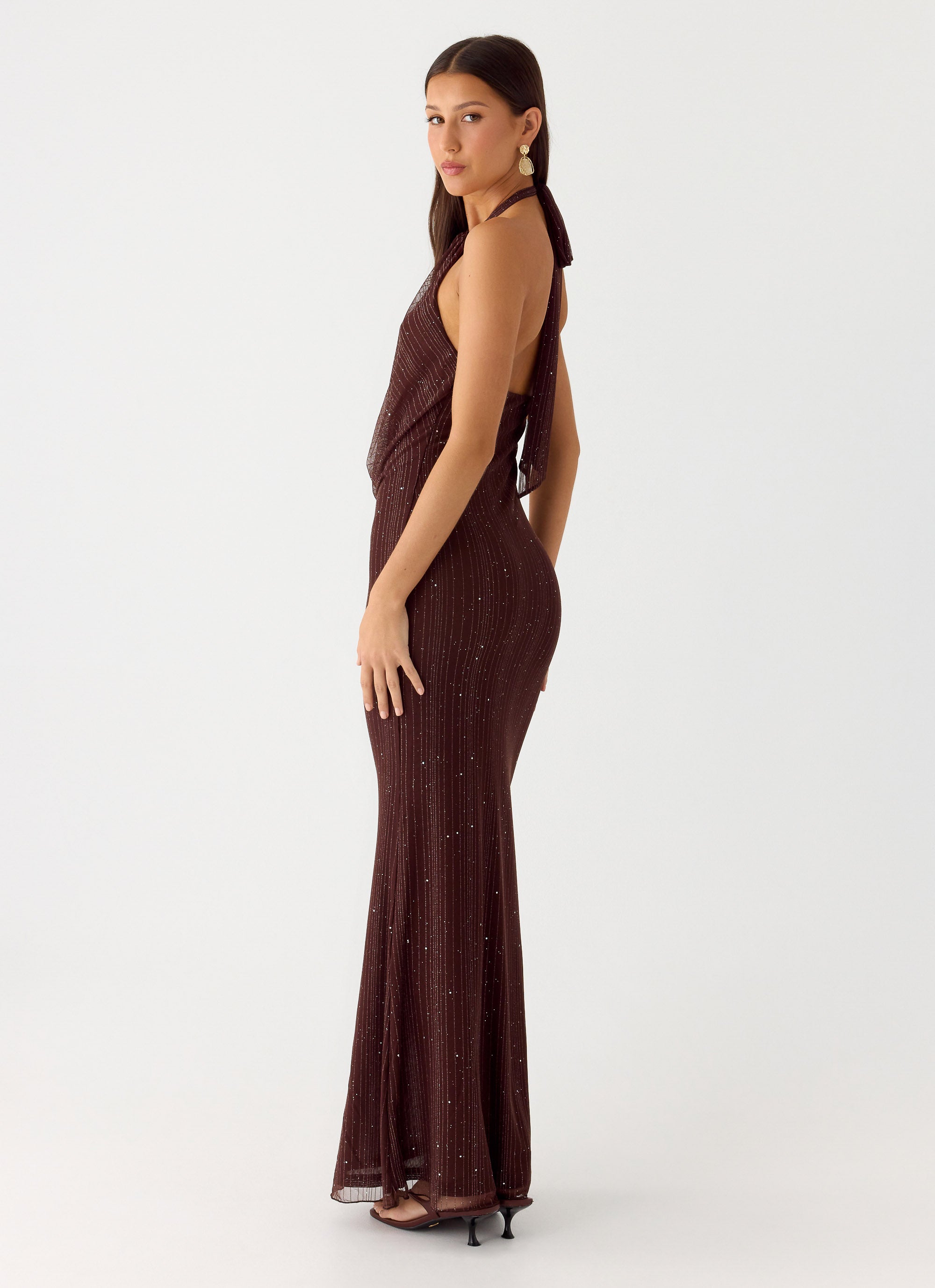 Haylan Sparkle Mesh Maxi Dress - Chocolate